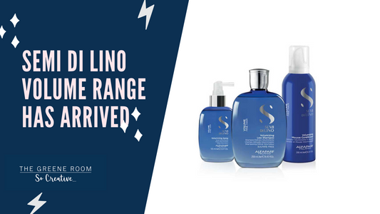 Your Fine Hair has a new Friend! Alfaparf Milano Volume Range